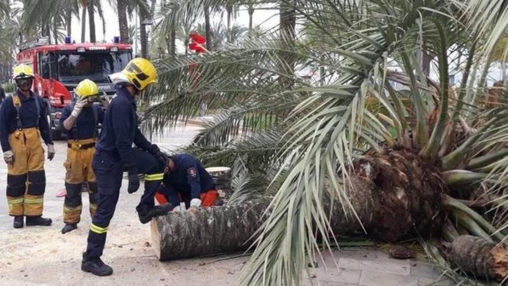 El SAMU 061 de Palma de Mallorca en una salida de emergencias.