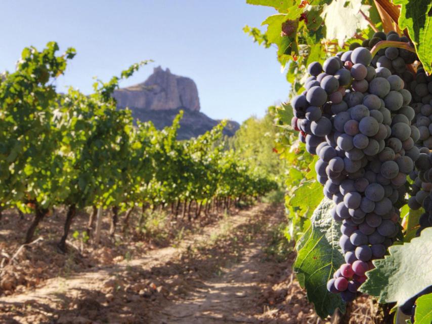 Madrid tiene un terruño especial.