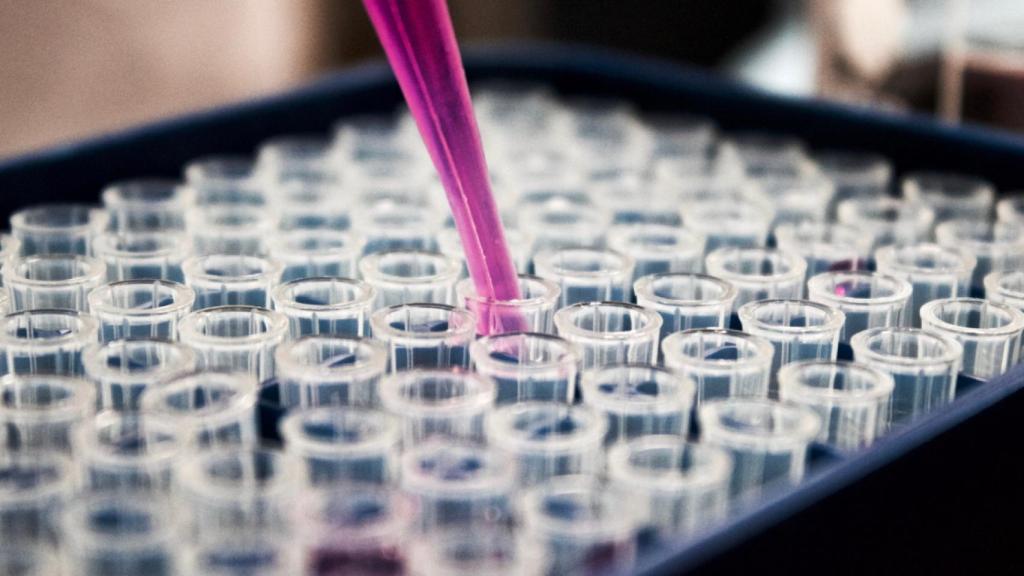 Ovejas viendo pasar el tren del CRISPR