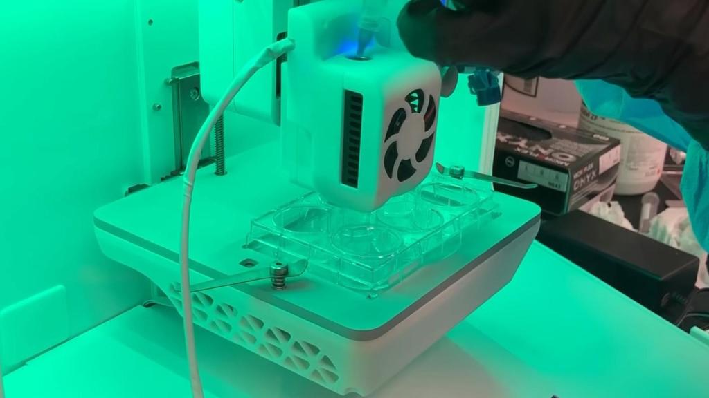 Impresión de la piel.