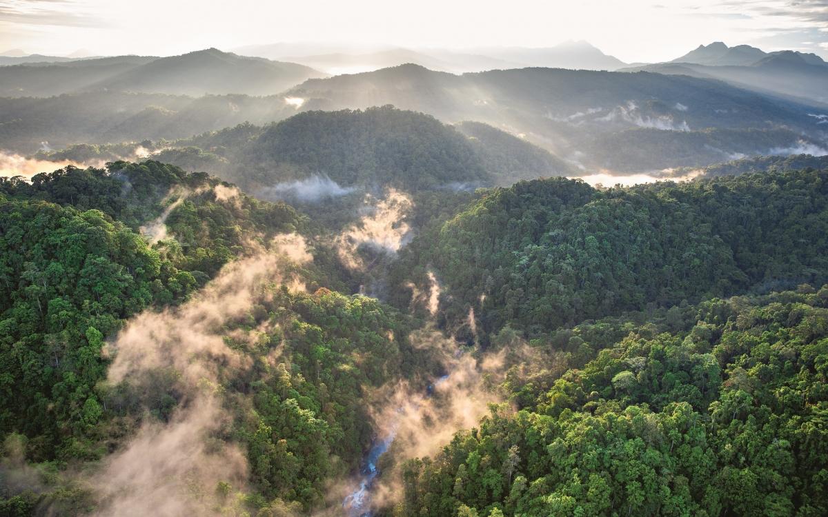 Nuestro planeta-Afundación