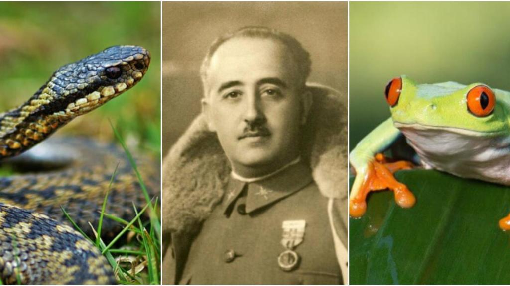 El bloqueo político augura un futuro no demasiado halagüeño.