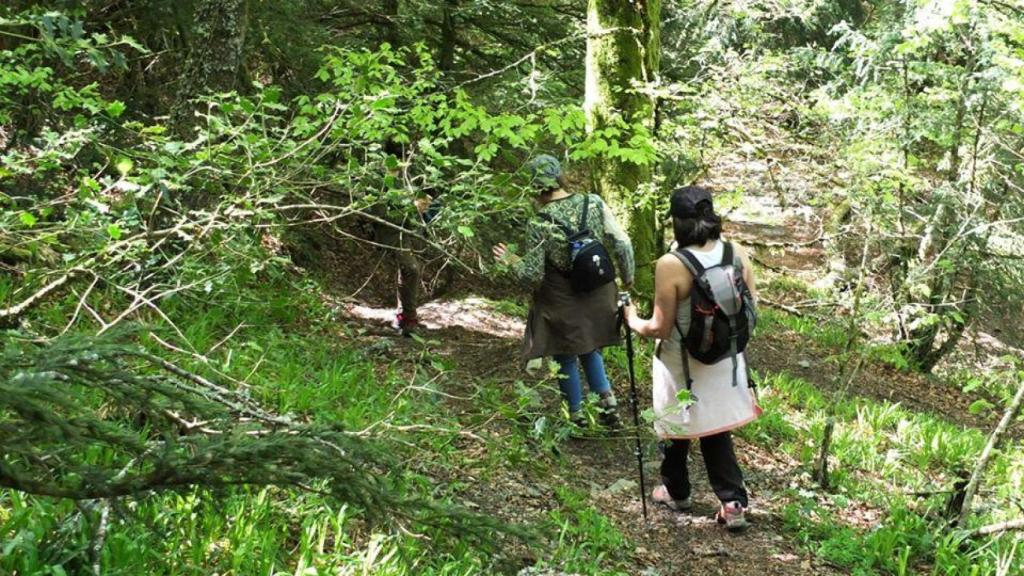 Conferencias y ruta de tapas en A Coruña para saborear el tiempo de setas