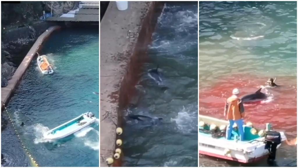 Las violentas imágenes fueron grabados por un dron.