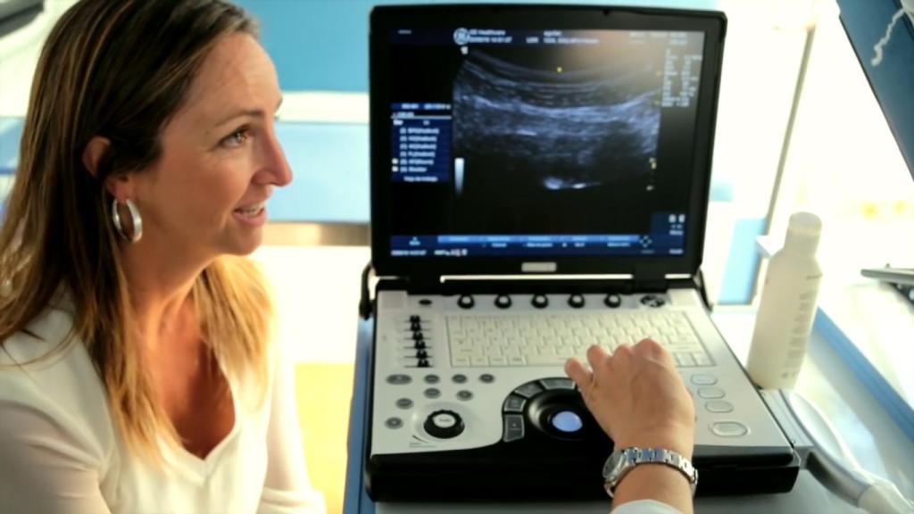 La ahora diputada de Vox se paseaba con una furgoneta realizando ecografías frente a clínicas abortivas.