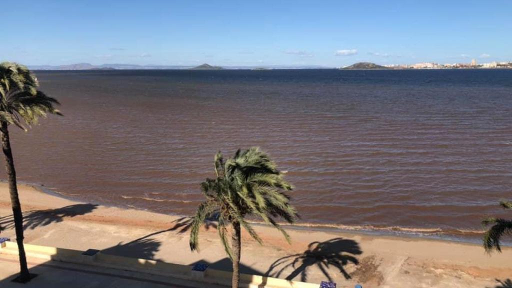 El agua del Mar Menor en Playa Honda presentaba un color marrón chocolate a mediados de noviembre.