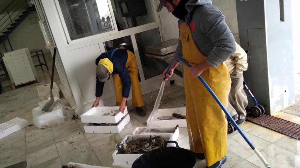 Nos han pagado 216,80 euros y antes de salir a faenar habíamos llenado el depósito con 220 euros de gasoil