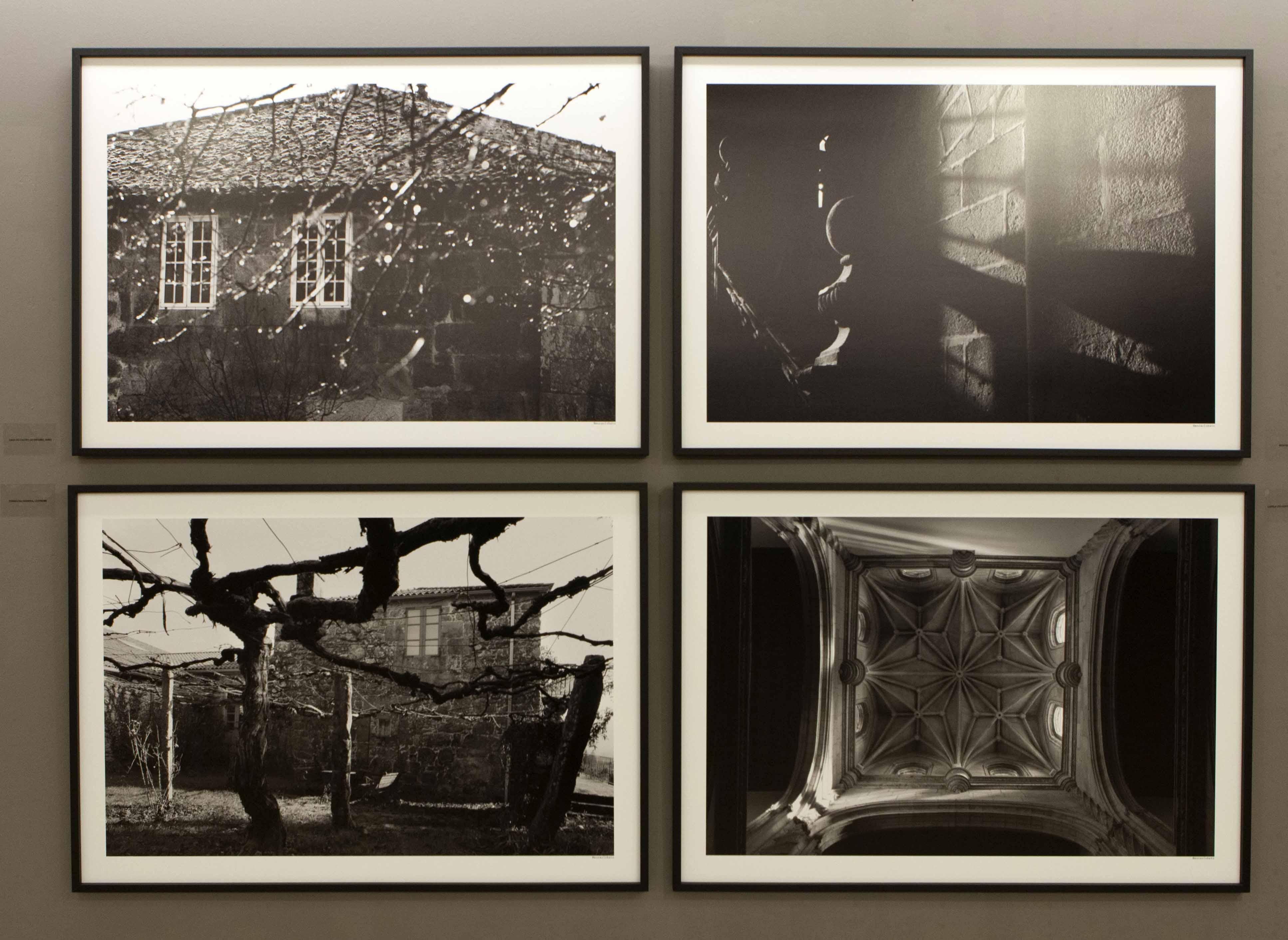 EXPOSICION DE AIRIÑOS AIRES ROSALIA 
EN LUGO