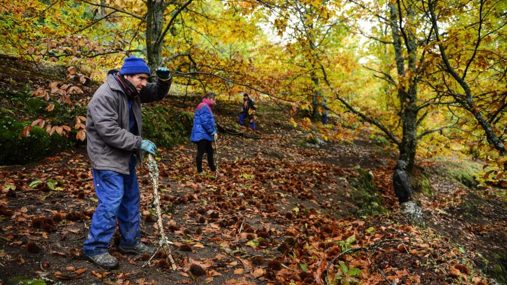 Las patrullas se conforman entre seis o siete personas