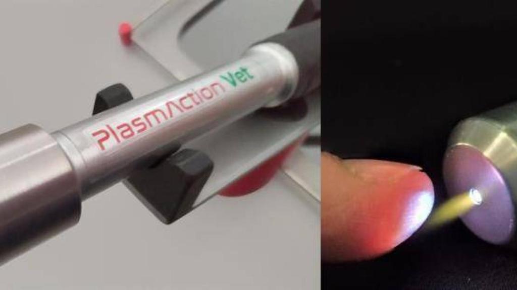 PlasmAction Vet, el aparato que puede ayudar a curar el cáncer