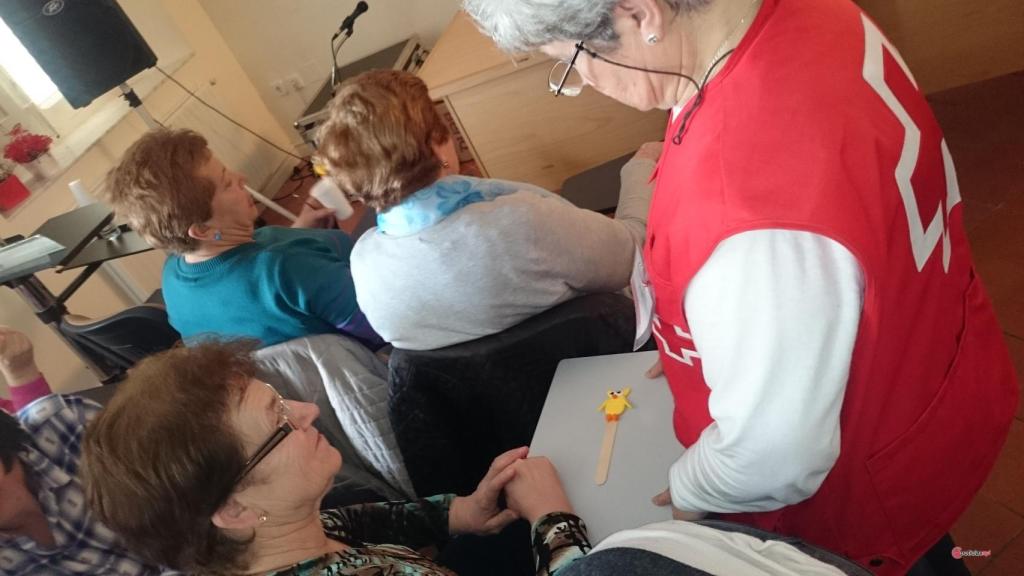 zamora cruz roja benavente abuelos