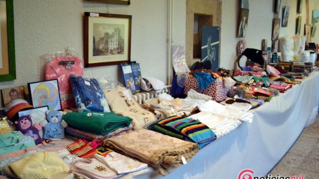 zamora manos unidas rastrillo (12)