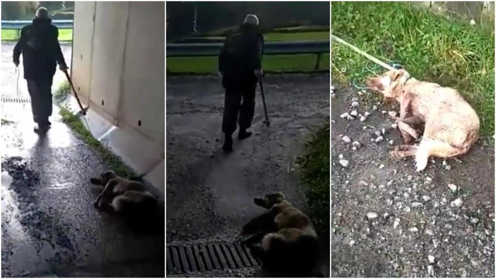 El cazador arrastra la perra tras darle una paliza y pegarle un tiro.
