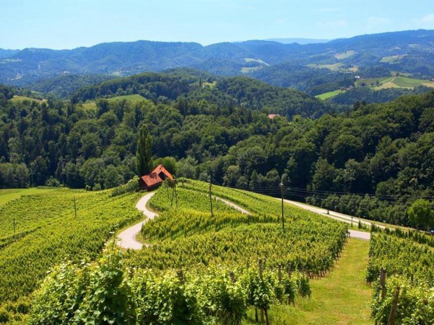 Eslovenia, destino enoturístico.