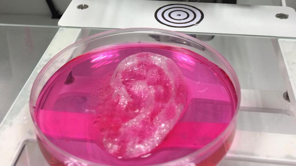 ¿Tejido humano impreso en 3D? Sí, con este biorreactor español