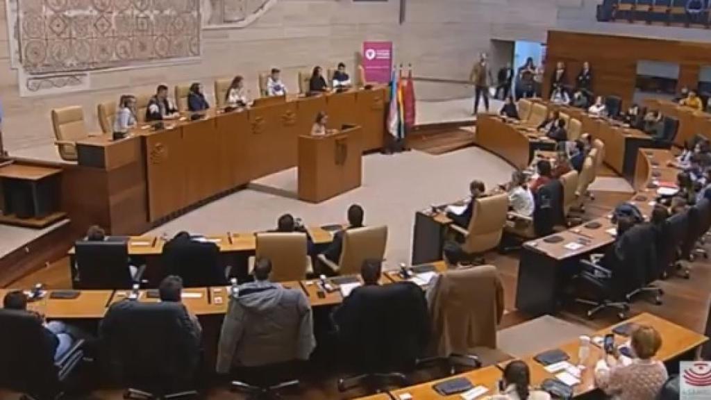 Elsa, durante su discurso en la Asamblea de Extremadura.