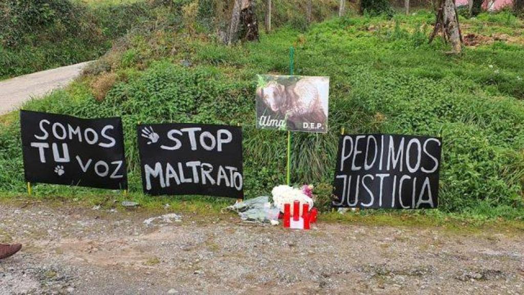 Recuerdo en el lugar donde maltrataron a Alma (AYUDA ALIMENTARIA ANIMALISTA)