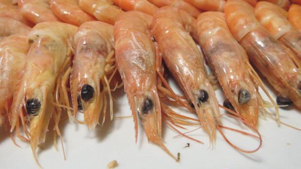 Langostinos cocidos. Lo normal es que tengan sulfitos.