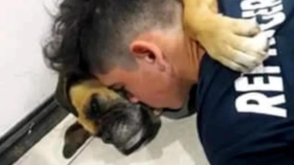 El dueño de la perrita la abraza antes de morir.