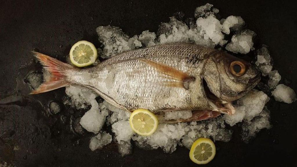 El besugo, uno de los peces más codiciados en Navidad.