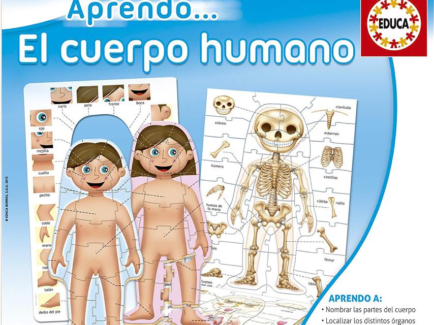 Puzzle del cuerpo humano.