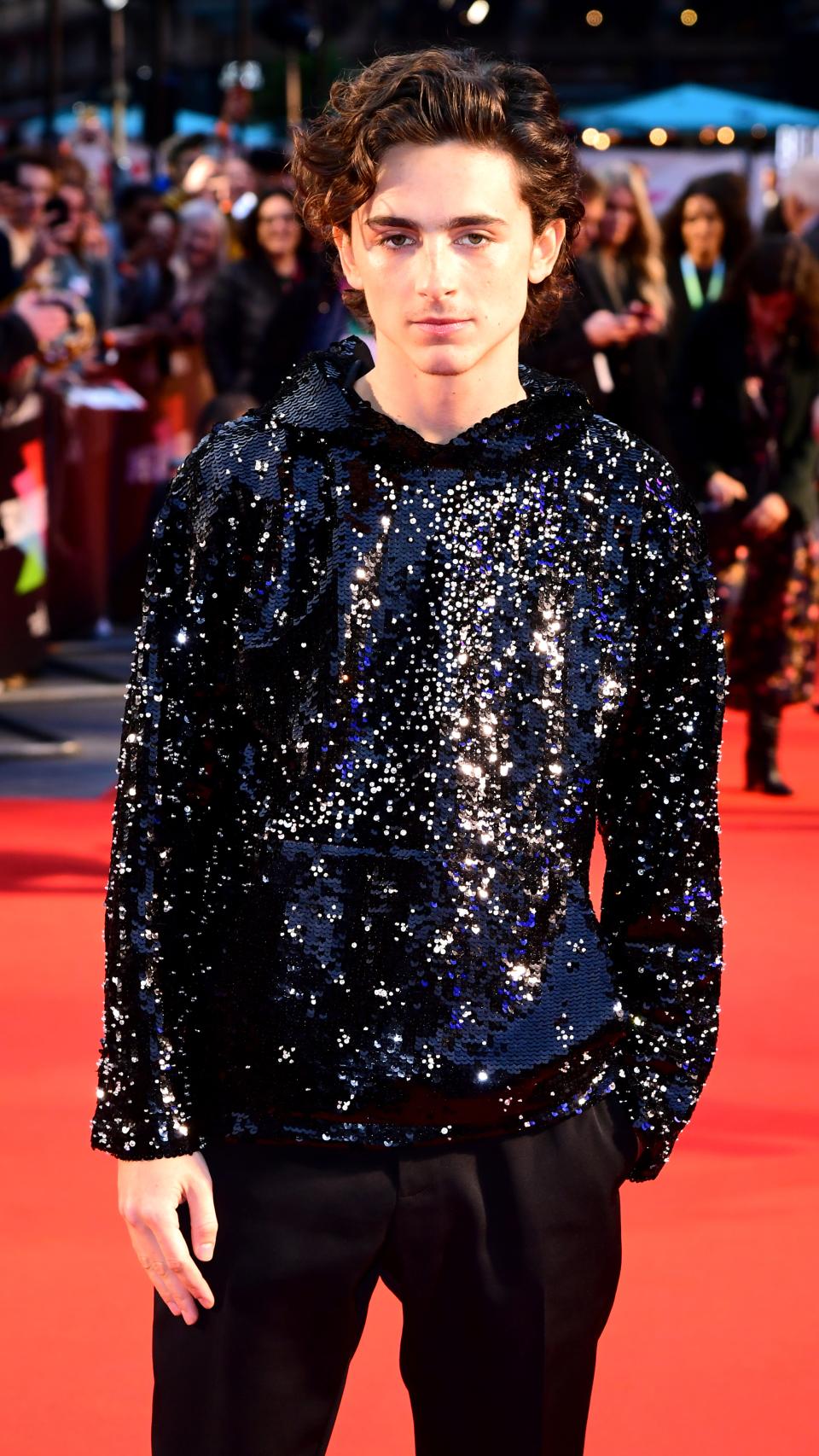 Timothée en una alfombra roja.
