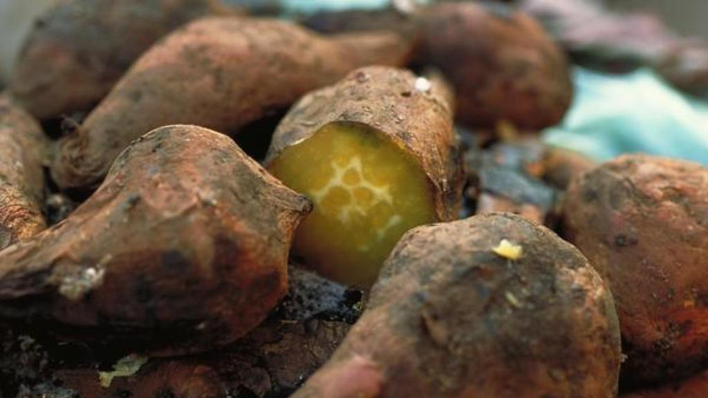 Boniatos a la venta, uno de ellos cortado por la mitad.