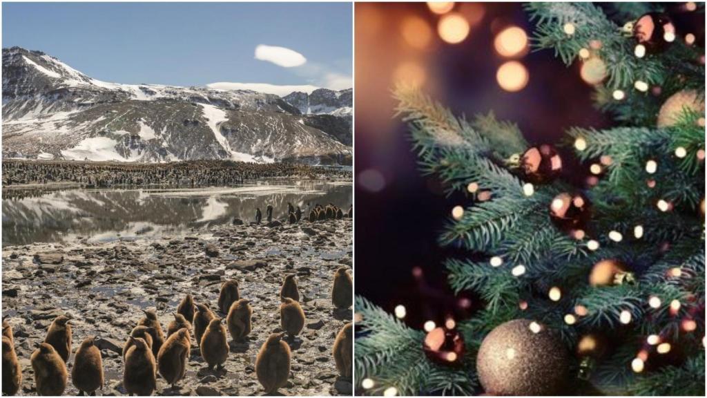 Agenda: ¿Qué hacer en A Coruña y Ferrol hoy jueves 2 de enero?