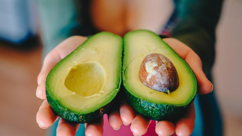 Aguacate: ¿cómo plantar su hueso?