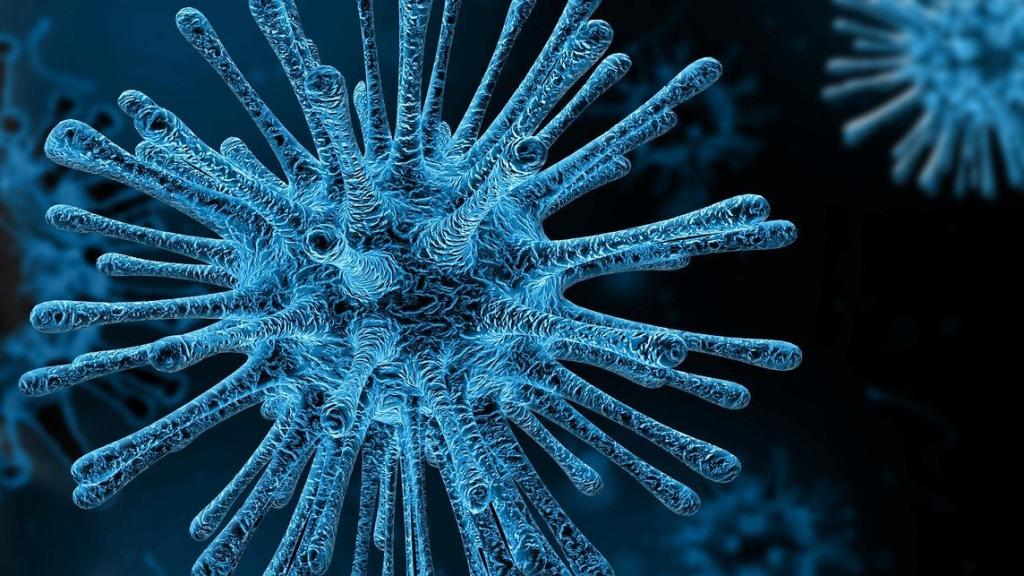 ¿Qué es el COVID-19? Guía del coronavirus