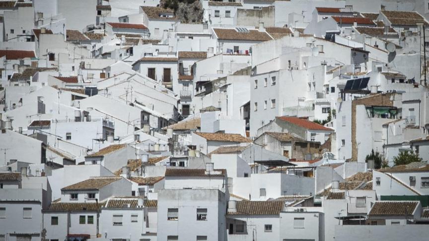 Numerosos vecinos de Algodonales, en Cádiz, viajan hasta Francia cada campaña de recogida.