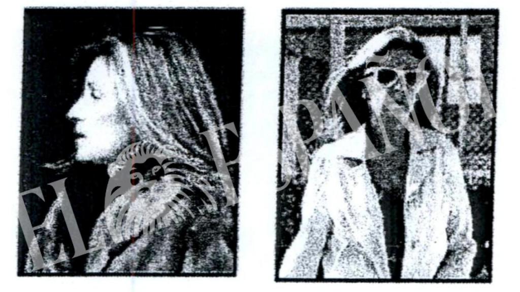 Una de las imágenes del seguimiento a Rosalía Iglesias, la esposa de Bárcenas.