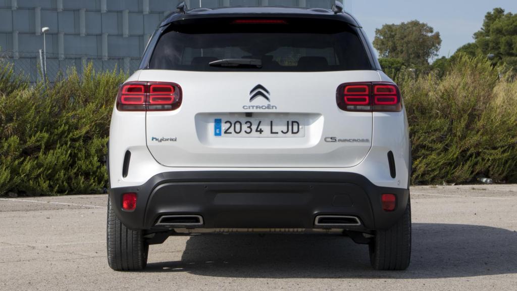 Por su sistema de hibridación, en cambio, apenas cuenta con pocos competidores.