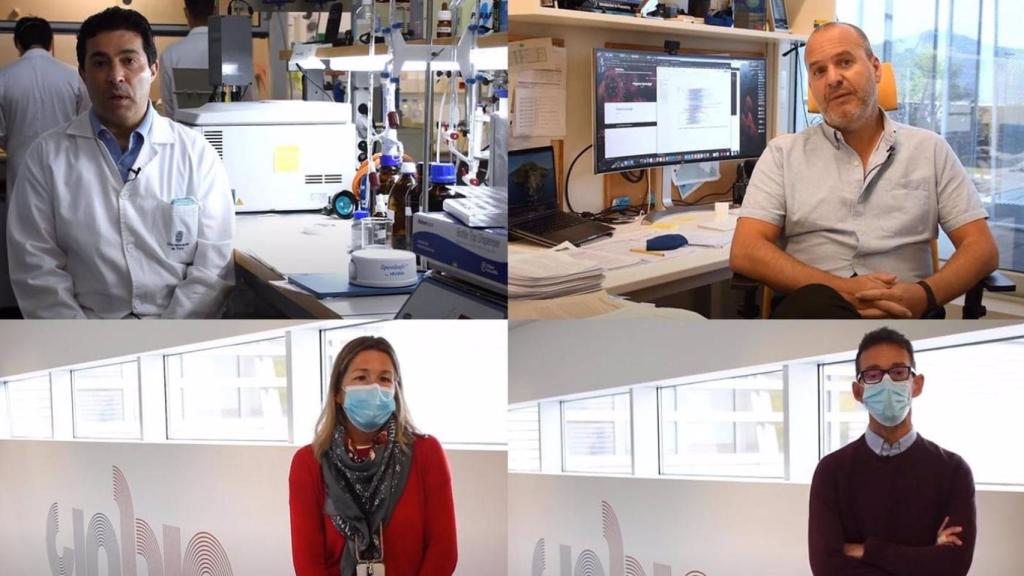 Los investigadores Claudio Cameselle, David Posada, Lorena Vázquez Iglesias y Jorge Pérez Juste lideran los proyectos.