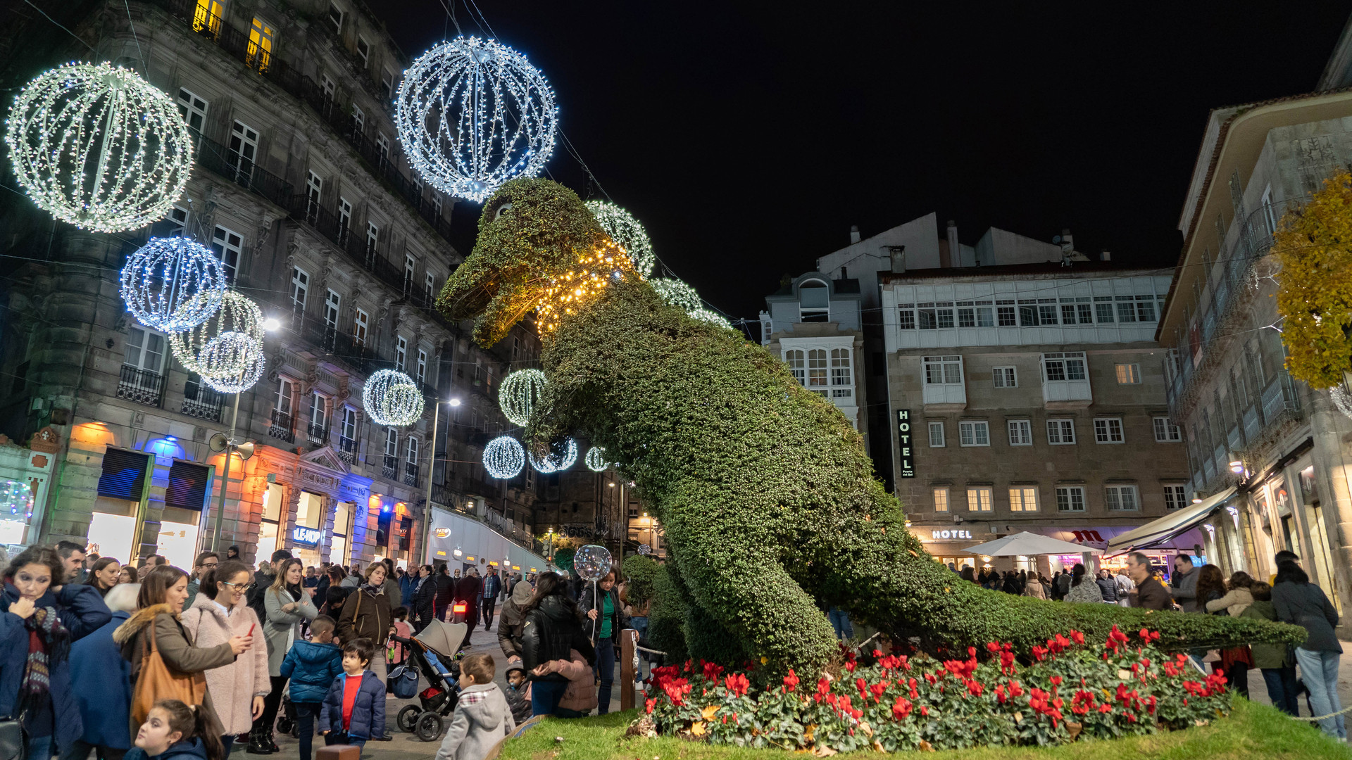 Dinoseto en la Navidad de 2019.