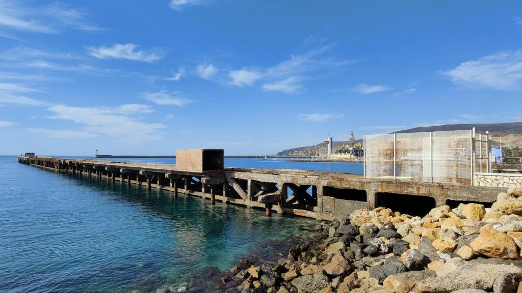 Foto con el Oppo Reno 4 Pro