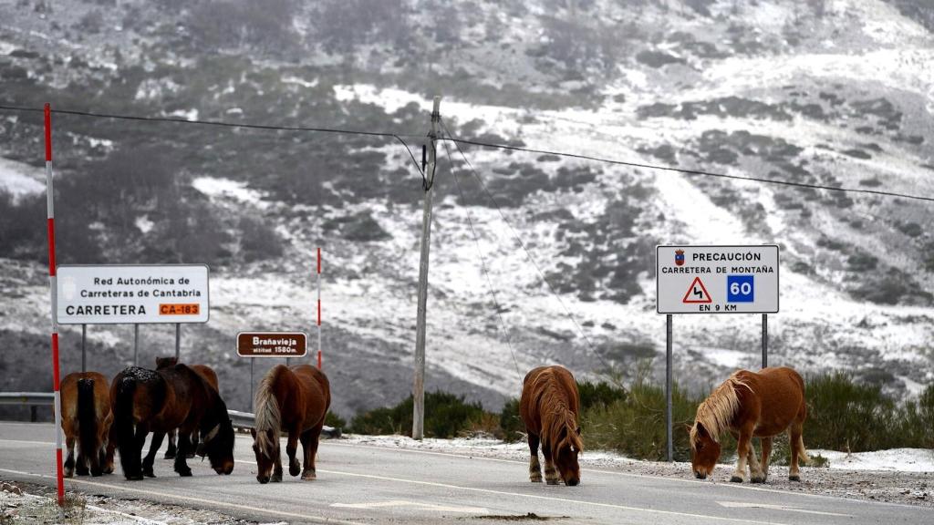 Nieve en la localidad cántabra de Brañavieja. EFE/Pedro Puente Hoyos