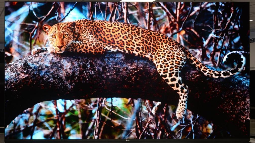 LG Magnit podría terminar llegando a los hogares.