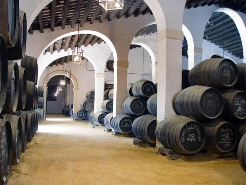 Andanas de Bodega Tío Pepe