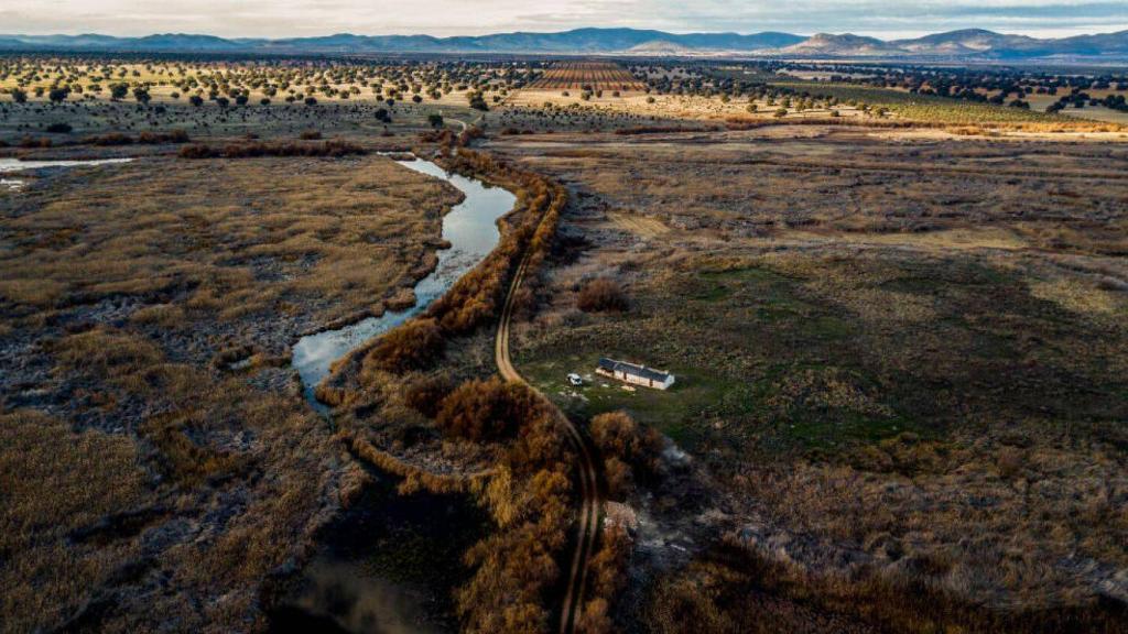 Fotografía de Carlos Rosillo. Plano de abajo del diario El País