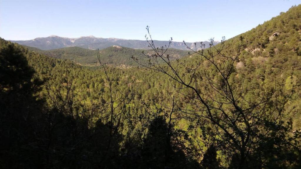 Parque Natural del Río Mundo, Albacete. Foto: Archivo de Europa Press