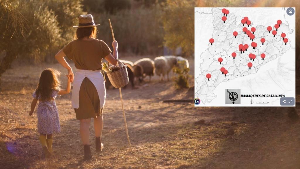 El mapa muestra 35 negocios dirigidos por mujeres.