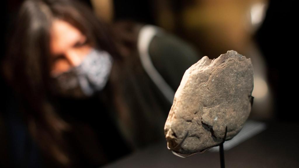 El museo de Arqueología de Cataluña y la Universidad Autónoma de Barcelona presentan una placa de piedra con grabados de diversas especies animales.