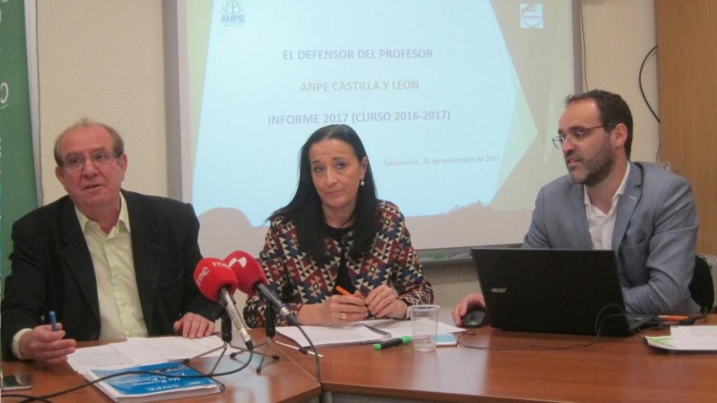 defensor profesor anpe