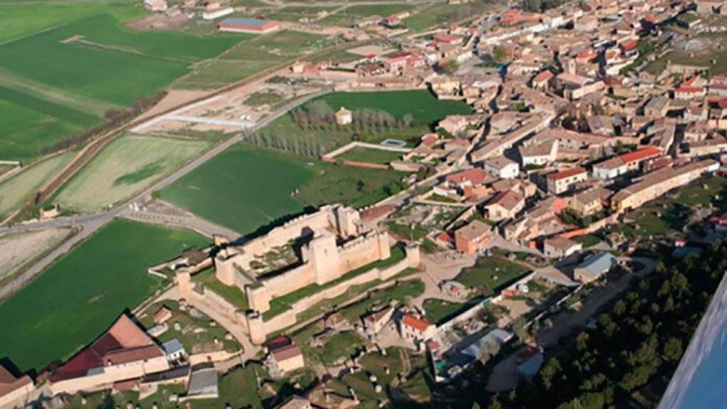 Trigueros-del-Valle-es-el-primer-municipio-en-reconocer-a-perros-y-gatos-como-vecinos-no-humanos