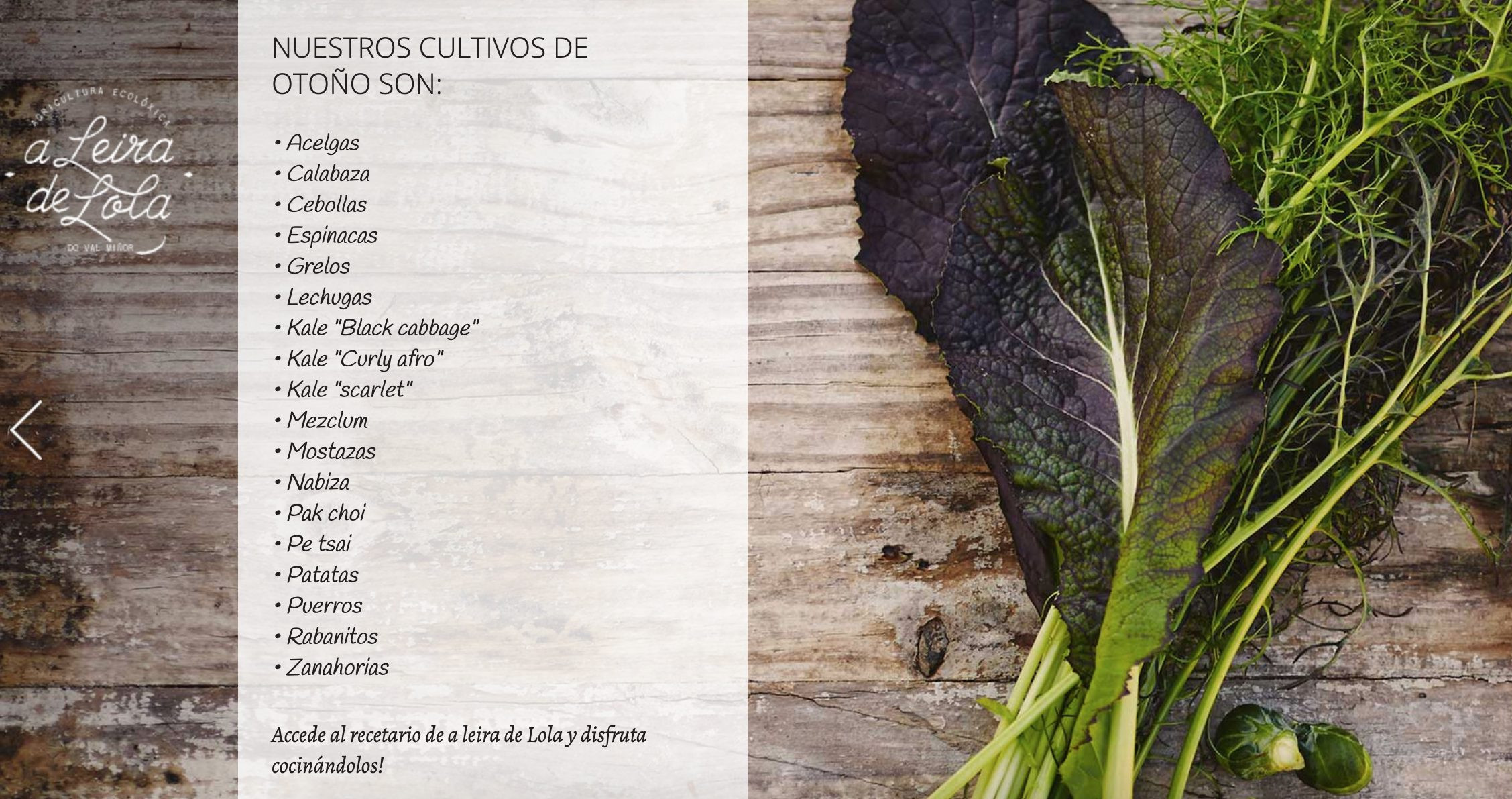 Productos que incluye la Cesta de Lola en otoño