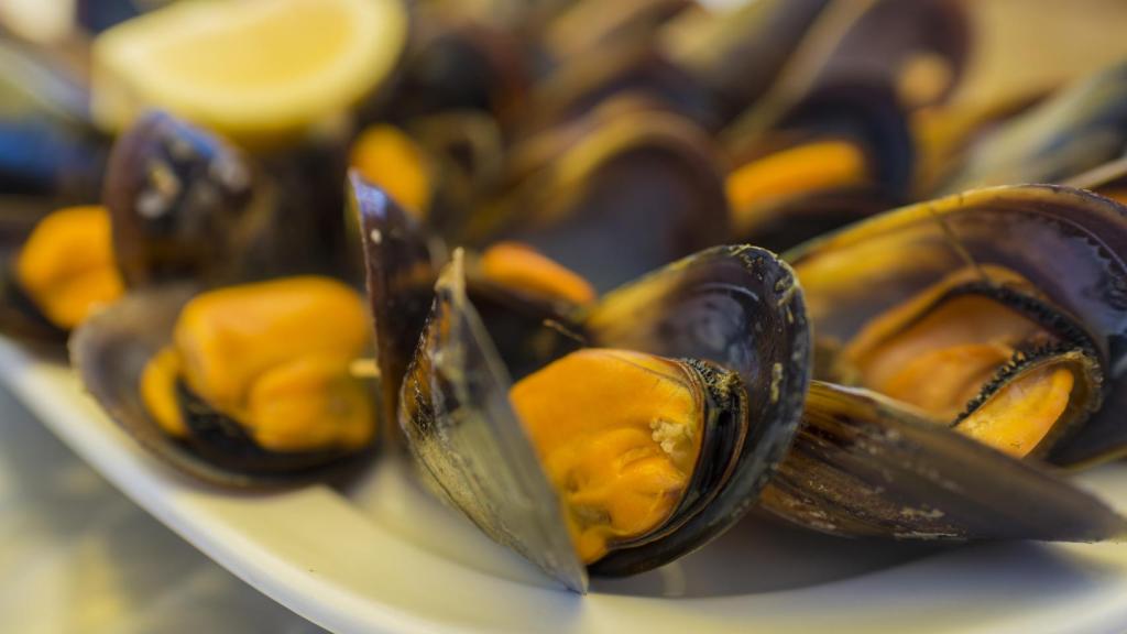 Unos mejillones en un plato.