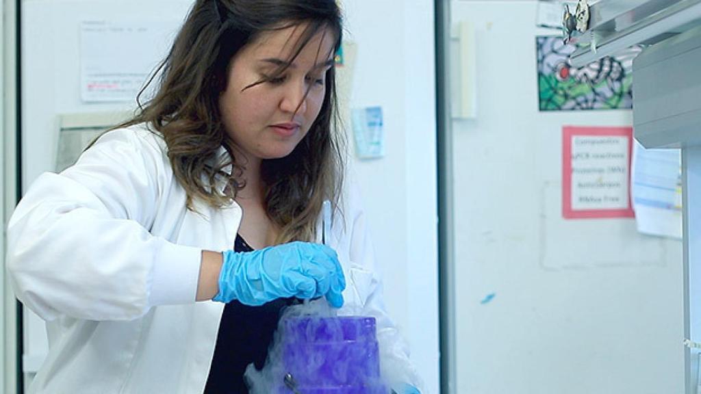 Una técnico trabajando en uno laboratorio de investigación.