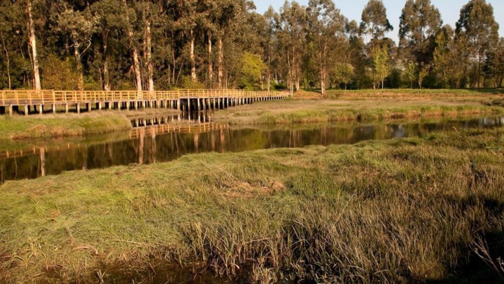 ENIL Xunqueira de Alba.