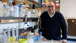 Ignacio López-Goñi, catedrático de Microbiología: "Tomar un probiótico estando sano no tiene grandes beneficios"
